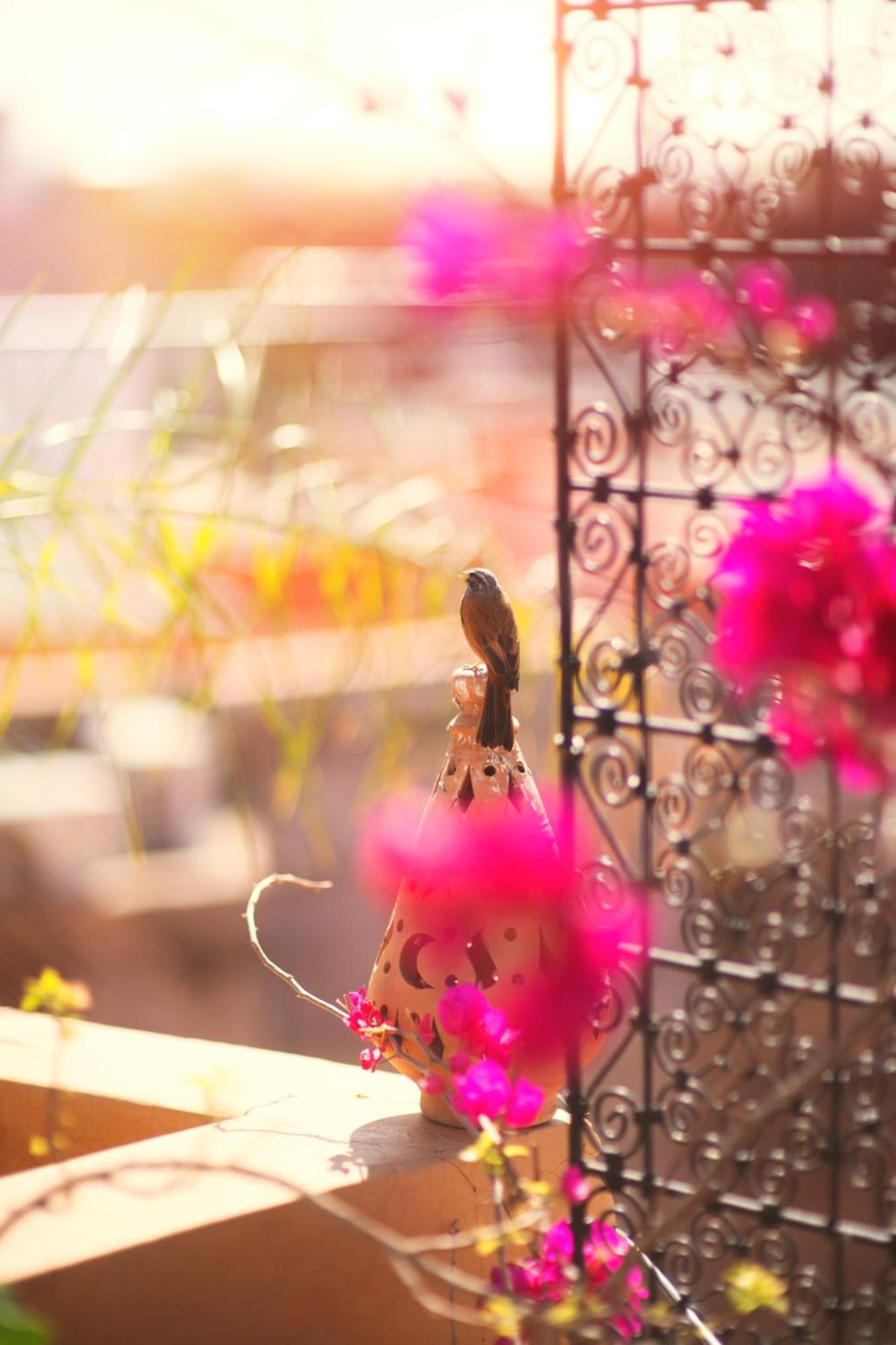 Riad Persephone Marakéš Exteriér fotografie